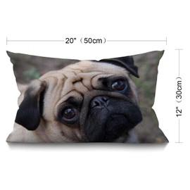 BGBDEIA Pug Dog Cushion Cover Outdoor Linen Pillowcase Funny Cute Pug Dog Face Throw Pillow Cover 30cm X 50cm Hippie Decorative Oblong Lumbar Pillow Case for Livingroom Sofa Bed,30x50cm 12x20 Inch