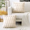 Artscope Set of 2 Soft Plush Short Wool Velvet Decorative