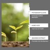 Soil Pro Activator,200G Soil Activator for Plants,Soilactivator for Fruit Trees-Promotes