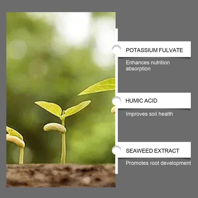 Soil Pro Activator,200G Soil Activator for Plants,Soilactivator for Fruit Trees-Promotes