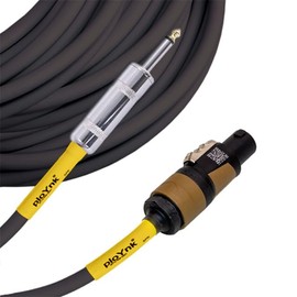 ploYnk Professional Audio Speaker Cable - 12 Gauge (4 ft, Speakon to 1/4")