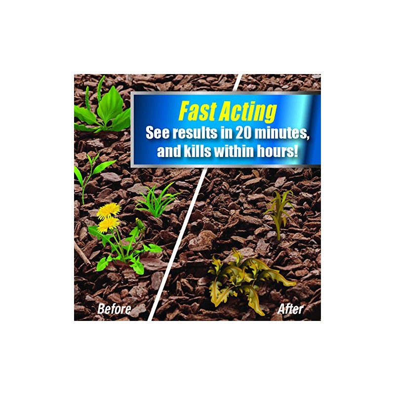 Pulverize Weed and Grass Killer, All Natural, Fast Acting, Non-Staining,