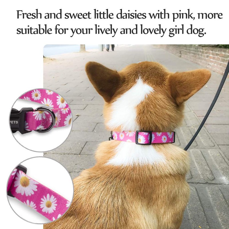 QQPETS Adjustable Soft Dog Collar: Print Flower Pink Multicolor Cute