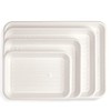 Practicon Ecosply Instrument Tray, Biodegradable, X-Small, Pack of 250