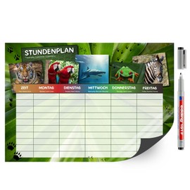 younikat dv_1224 Magnetic Wipe Clean Timetable I Wild Animals Colourful I Includes Pen I Rewritable I School I