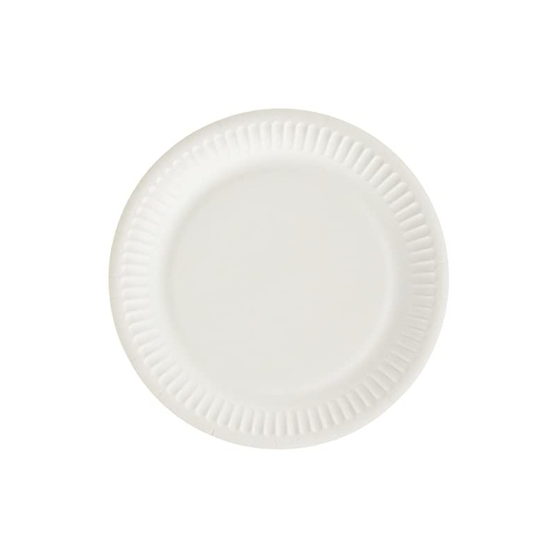 Folat 6 Paper Plates, Dinosaur, Dinosaur Plates, Children's Birthday Parties,