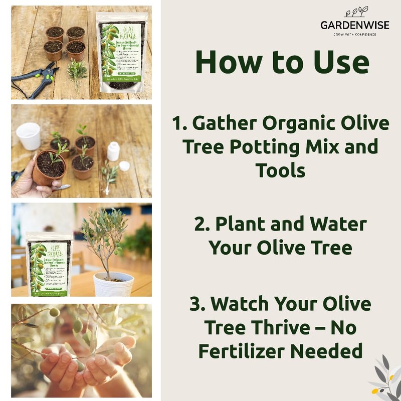 GARDENWISE Organic Olive Tree Potting Mix  Fast-Draining, Nutrient-Rich  Soil for Indoor & Outdoor Olive Trees  Mediterranean Plant Care  ...
