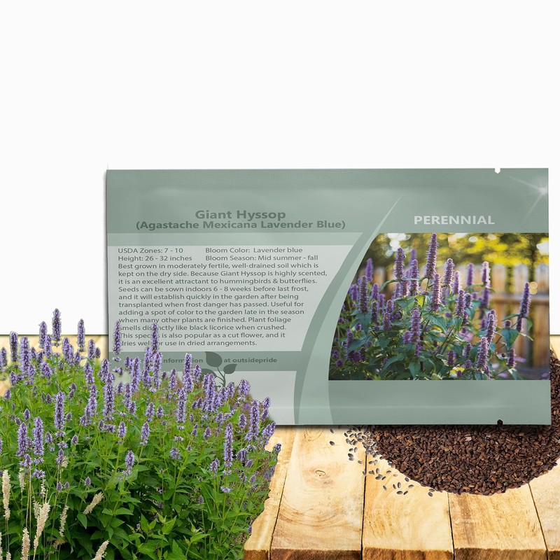 Outsidepride Lavender Blue Giant Hyssop Seeds for Planting - 2000