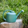 Southern Patio 2 Gallon Watering Can, Fern