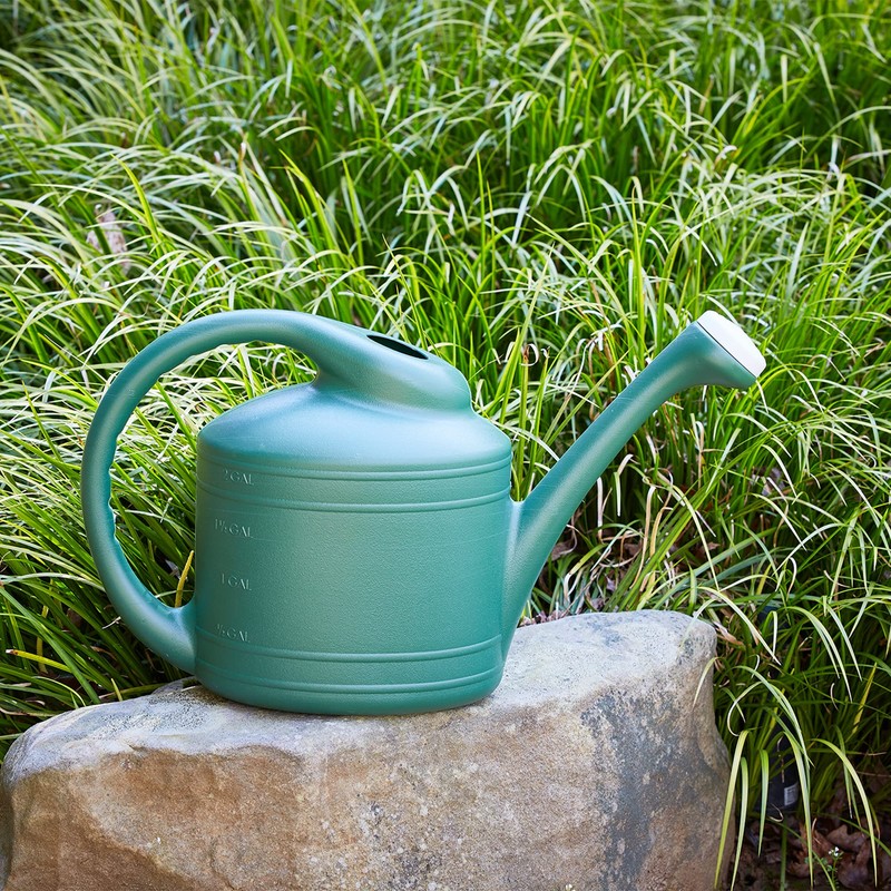 Southern Patio 2 Gallon Watering Can, Fern