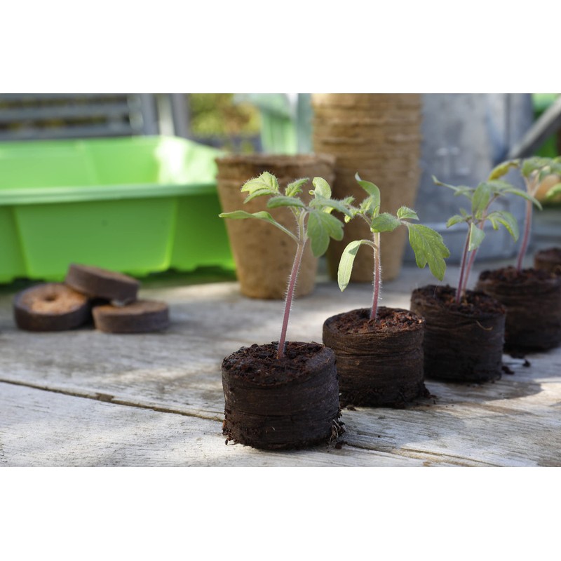 Grow It 08636 50 Peat Free Compost Discs