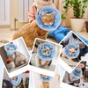 SlowTon Cat Recovery Collar - Protective Adjustable Elizabethan Recovery Collars