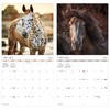 2025 Horses Wall Calendar