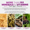 Irish Sea Moss Gummies with Elderberry & Black Seed Oil