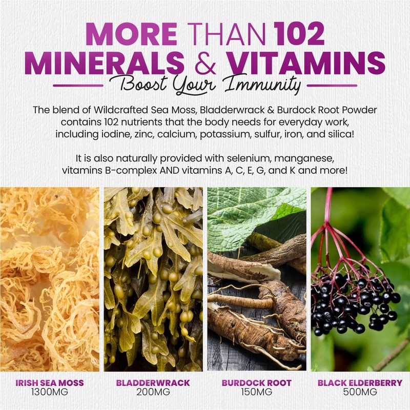 Irish Sea Moss Gummies with Elderberry & Black Seed Oil