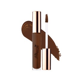 Pretty Vulgar Under Cover Concealer … (Veil of Secrecy)