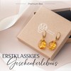 Amber by Mazukna Baltic Amber Drop Earrings for Women, Yellow