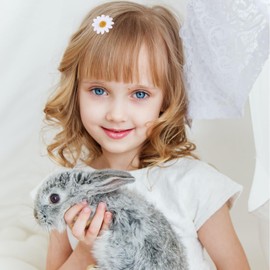 Healeved 12pcs Daisy Hair Clips Elegant Hair Clips Party Hair Accessories Daily Life Hair Accessories Hair Clips for Girls Hairclop Daisy Clip Girl Hair Clip Women Barrettes Grace