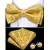 Barry.Wang Paisley Bow Ties for Men Classic Pre Tied Bowtie