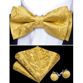 Barry.Wang Paisley Bow Ties for Men Classic Pre Tied Bowtie and Pocket Square Cufflinks Set Silk Gold Bow Tie Gift Party