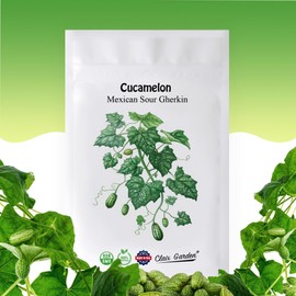 Cucamelon Seeds - Mexican Sour Gherkin - 100 Seeds - Heirloom, Non-GMO and Untreated, Excellent for Any Home Garden, Low Maintenance, Delicious Flavor