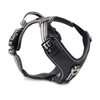 Wolters Active Pro Harness, Size: 80-95 cm, Colour: Black/Black