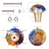 KYEYGWO Pack of 4 Natural Snail Ammonite Fossil Furniture Knobs,