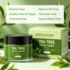 Green Tea Clay Mask | Antioxidant Green Tea Clay Mask