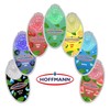 Hoffmann - Premium Aroma Capsule Set Menthol | DIY Click