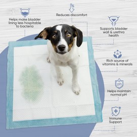 Animigo Urinary Aid for Dog - D Mannose Powder, Marshmallow Root, Cranberry, Astragalus, Liquorice Root Powder & Nettle Leaf Extract with 120 Dog Urinary Tract Health Tablets - Bladder Support for Dog