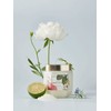 Perfumed Sugar Body Scrub 500g Fleur Soap / 퍼퓸드 슈가 바디스크럽 500g 플뢰르솝