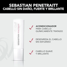 Sebastian Professional Penetraitt Acondicionador Reparación 250ml