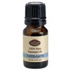 Fabulous Frannie Tarragon 100% Pure, Undiluted Essential Oil Therapeutic Grade