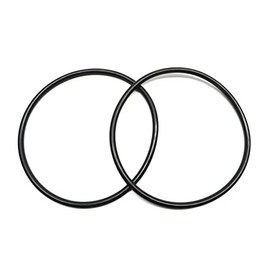 Captain O-Ring Junta tórica de repuesto 272541 para filtro y válvula Pentair para piscina/spa (paquete de 2)