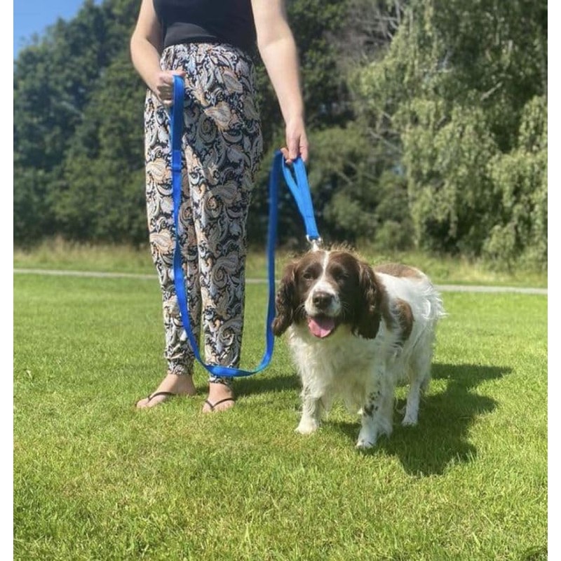 Double Handle Dog Leads 2m Long Quick Grab Handle For