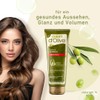 Dalan d'Olive Hair Conditioner Colour Protection 200 ml Pack of