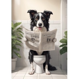 Border Collie on the toilet reading newspaper Bathroom Wall art, Humorous Pet Print. Size A4