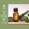 OLEUM VITAE Aceite Esencial de Eucalipto 30ml. Eucalyptus Globulus 100%