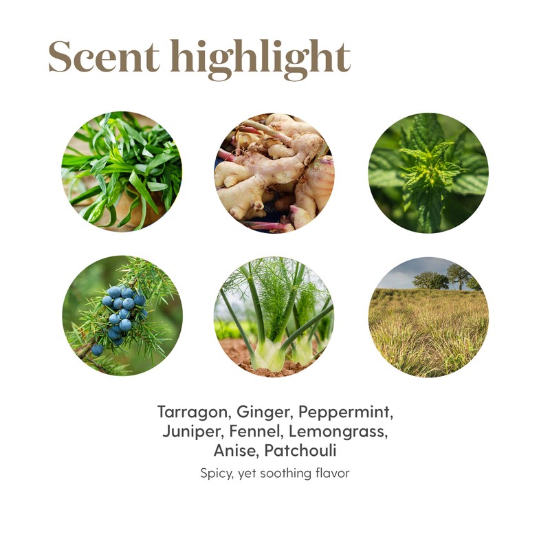 Vitality Digize 5ml Young Living Essential Oils