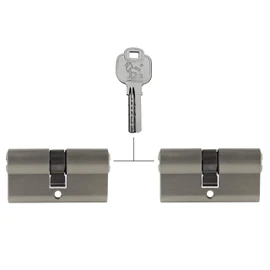 2x Profile Cylinder 60 mm 30/30 Keyed Alike Emergency and Danger Function Includes 10 Keys