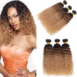 ELEE'S HAIR Kinkys Real Hair Bundles Curls Ombre Curls Curls Hair Real Hair Fabric 3 Bundles 1b/30/27 (Shade 1B/30/27, 14)