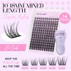 WENDY Natural Lash Clusters Kit D Curl Wispy Eyelashes Clusters