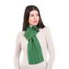 SAOL 100% Merino Wool Loop Scarf for Women, Green, One