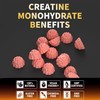Nutravita NSF Certified Creatine Gummy - Creatine Monohydrate Gummies for