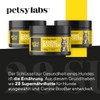 Petsy Labs Canine Booster with Green-Lipped Mussel for Dogs, Green