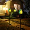 Afirst Solar Frog Garden Stake Lights Hand Blown Glass Decorative