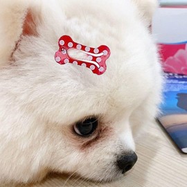 5 Pcs Black Dog Hair Clips Mini Bone Dog Barrette Small Snap Hair Clips Pet Hair Barrettes Pet Hairpin Dog Hair Accessories