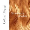 Desert Shadow Organic Hair Dye, Deep Red Shadow 100g