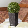Prosper Plast Dark Brown Planter - 17cm x 17cm x32cm