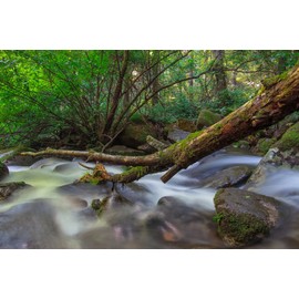 KANI ND Filter Variable Variable Dimming Filter HT PRO+MC ND64-1000 (62mm)